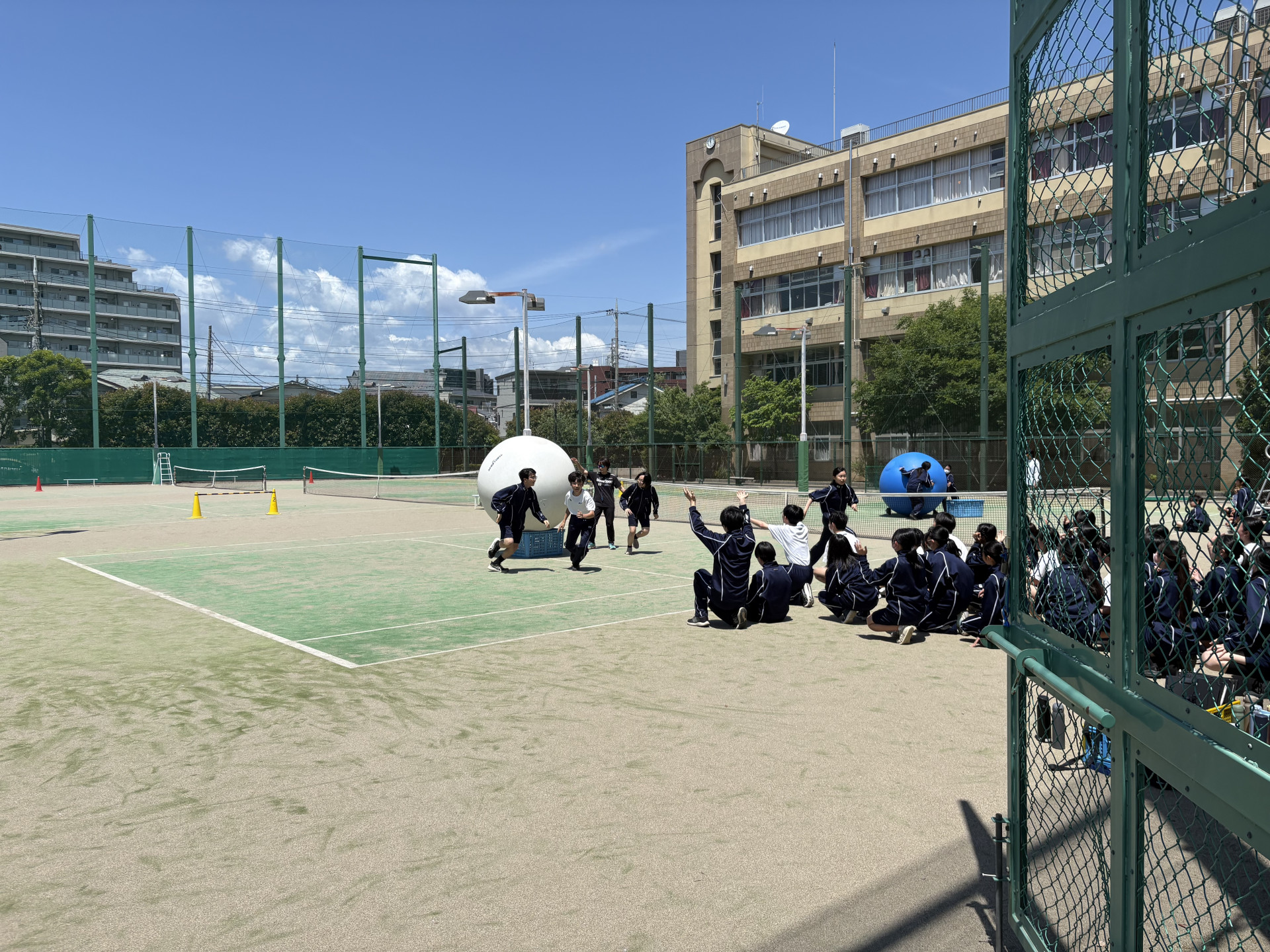 画像 -20260511-015923-f383a5bf